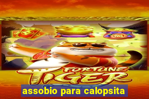 assobio para calopsita